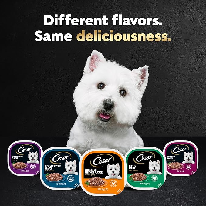 CESAR Adult Soft Wet Dog Food Filets in Gravy Variety Pack, Filet Mignon, New York Strip and Prime Rib Flavors, (24) 3.5 oz. Trays - PAWPICO
