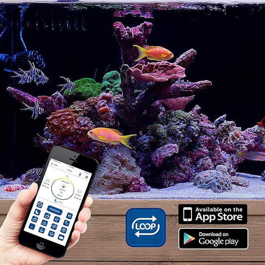 CURRENT USA PRO Dual 18-24" Inch Orbit Marine IC Loop LED Saltwater Reef Marine Aquarium Light with Bluetooth App Control | Wireless Lighting & eFlux Wave Pump Control for Fish Tank (4334) Current+USA