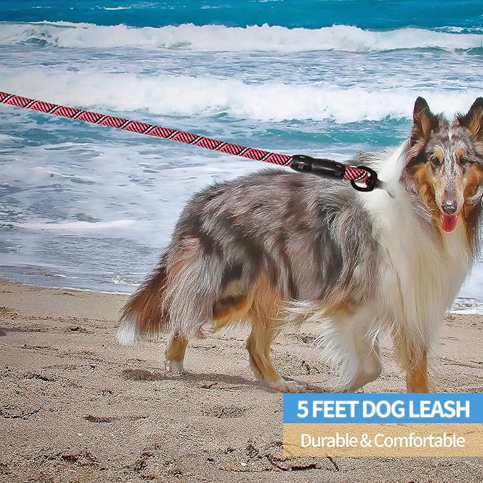 BAAPET 2/4/5/6 FT Dog Leash with Comfortable Padded Handle and Highly Reflective Threads for Small Medium and Large Dogs (5FT-1/2'', Black Pink) BAAPET