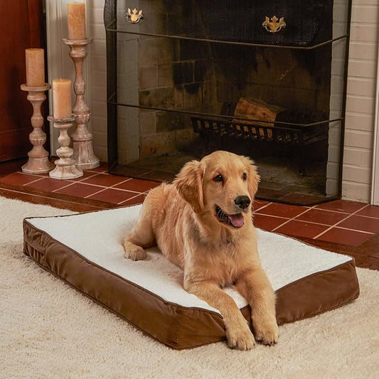Happy Hounds Oscar Rectangle Orthopedic Foam Sherpa Dog Bed, Small (36 x 24 in.), Mocha - PAWPICO