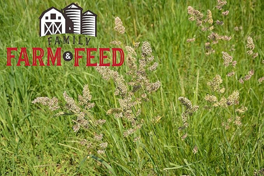 | Orchard Grass Food | Small Pet | Young and Adult | Pellets | 3 Pounds FAMILY+FARM+AND+FEED