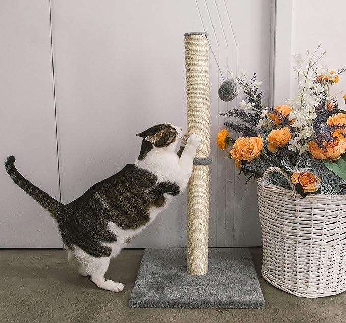 32 Inches Tall Cat Scratching Post, Cat Scratch Post Tree Kitten Scratcher with Sisal Rope, Scratching Post for Indoor Cats with Hanging Ball - PAWPICO