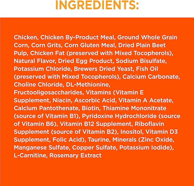IAMS Proactive Health Healthy Adult Dry Cat Food with Chicken, 22 lb. Bag - PAWPICO
