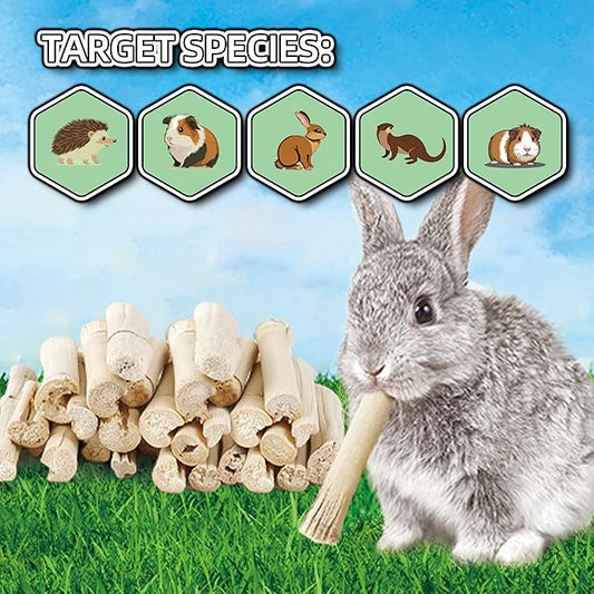 HIIMALEX Bunny Snacks 300g/10oz. Sweet Bamboo Molar Chew Treat Sticks for Rabbits Guinea Pigs Hamsters Small Animal MakeTheKingdomforYourBunnies
