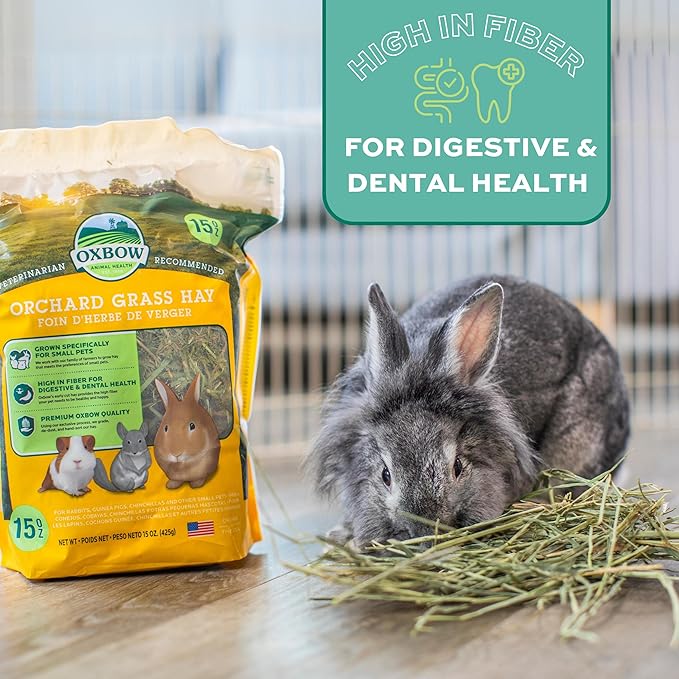 Oxbow Animal Health Orchard Grass Hay - All Natural Grass Hay for Chinchillas, Rabbits, Guinea Pigs, Hamsters & Gerbils - 15 oz. OxbowAnimalHealth
