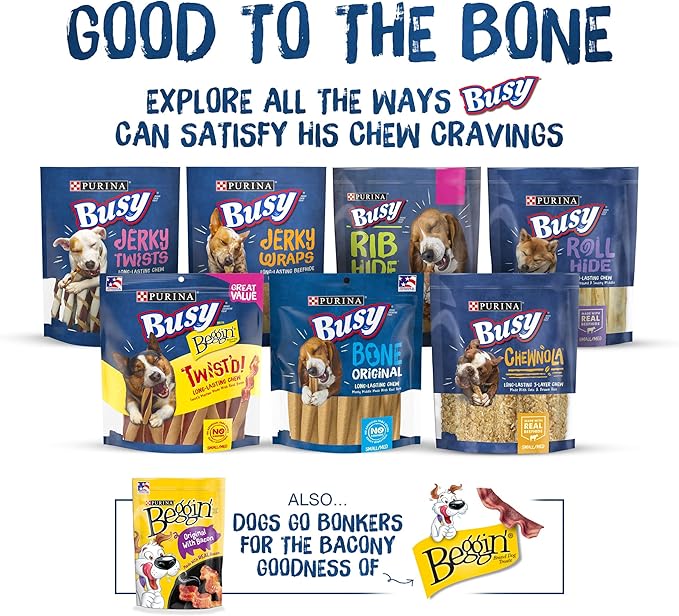 Purina Busy Bone Made in USA Facilities, Long Lasting Small/Medium Breed Adult Dog Chews, Peanut Butter Flavor - 6 Count (Pack of 1) - PAWPICO