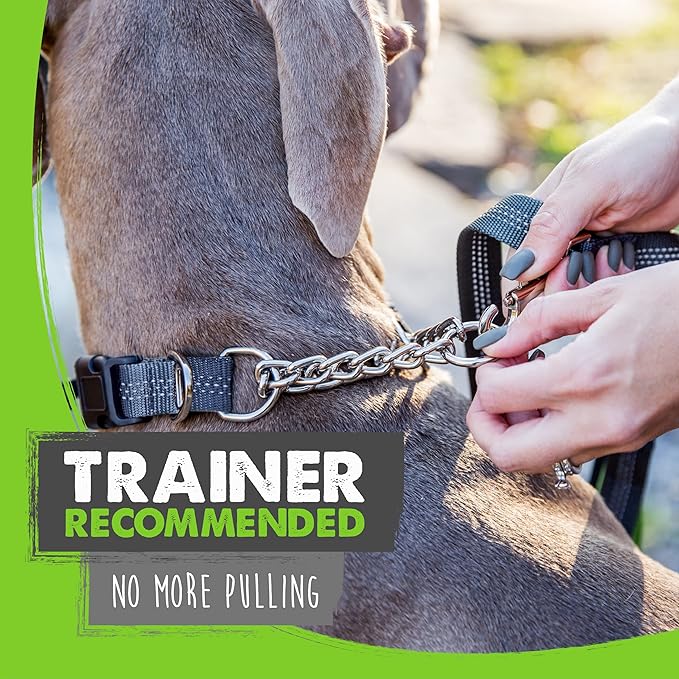 Mighty Paw Martingale Dog Collar 2.0 | Trainer Approved Limited Slip Collar with Stainless Steel Chain & Heavy Duty Buckle - Modified Cinch Collar for Gentle & Effective Pet Training - Small, Grey MightyPaw