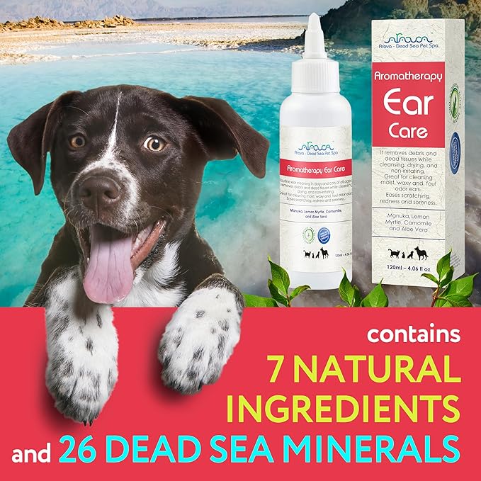 Arava Natural Dog Ear Infection Treatment -First Aid in Acute & Chronic Inflammations - Anti Itch Effective Ear Cleaner - Pet Otic Aromatherapy Ear Care Solution Arava-DeadSeaPetSpa