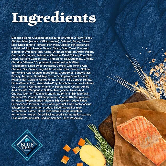 Blue Buffalo Wilderness Adult High-Protein Dry Dog Food Natural Salmon WITH WHOLESOME GRAINS - PAWPICO