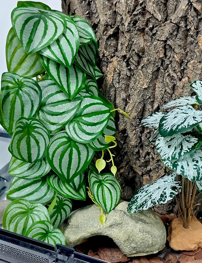 Woyrise 2 Pack Reptile Plants, Terrarium Hanging Plant Vines, Artificial Leaves with Suction Cup, Bearded Dragon Tank Accessories for Gecko Lizard Snake Frog Tortoise Decorations - Calathea Orbifolia Woyrise