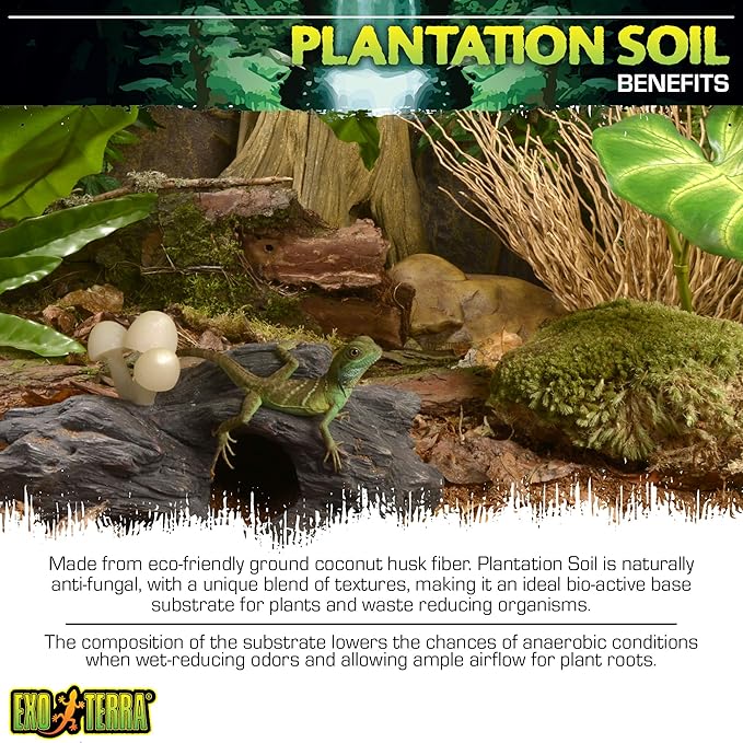 Exo Terra Plantation Soil, 8 Qt (8.8 L) - 100% Natural Terrarium Substrate | Increases Humidity, Stimulates Digging & Burrowing | Ideal for Natural Terrarium Setups & Live Plants ExoTerra