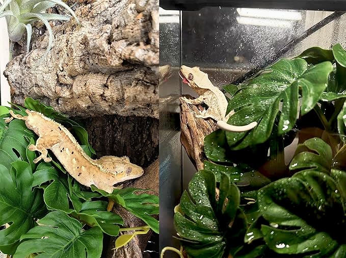 Woyrise Reptile Plants for Terrarium, Artificial Hanging Plants with Suction Cups, Amphibian Tank Habitat Decor Plastic Plant for Bearded Dragons Lizards Snake Geckos Frogs - 2Pack Fake Monstera Woyrise