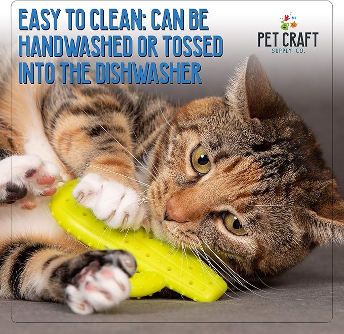 Pet Craft Supply Cactus Interactive Cat Toy Chew Toy Teeth Cleaning Bite Resistant 100% Natural Rubber with Bonus Catnip and Silvervine Bags for Kittens and Adult Cat - PAWPICO