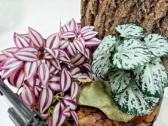 Woyrise 2 Pack Reptile Plants, Terrarium Hanging Plant Vines, Artificial Leaves with Suction Cup, Bearded Dragon Tank Accessories for Gecko Lizard Snake Frog Tortoise Decorations - Zebrina Purple Woyrise