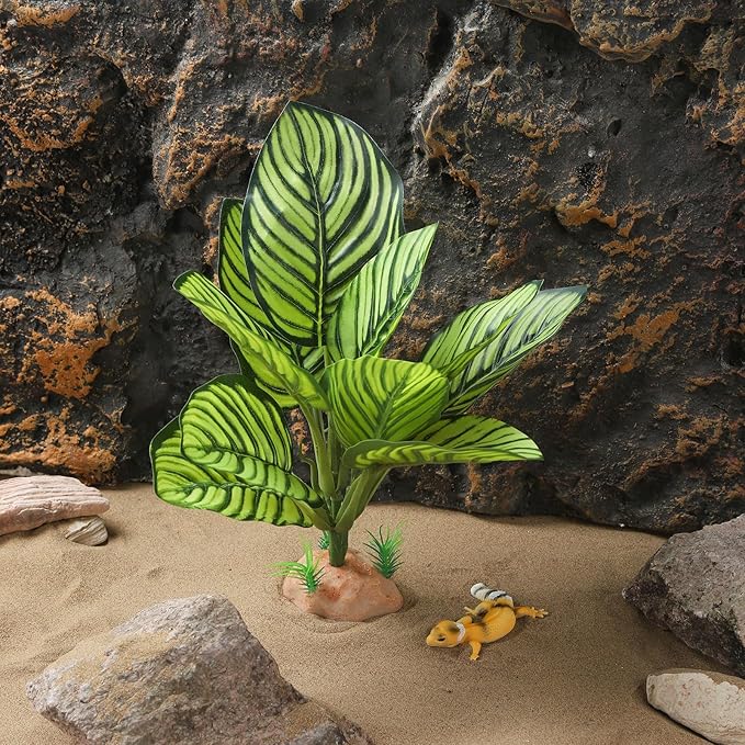 Terrarium Plants for Reptile Terrarium, Reptile Plants Tortoise Habitat Accessories, Artificial Spider Plant for Gecko, Ball Python, Tortoise Terrarium Décor - Calathea Makoyana A IBWell