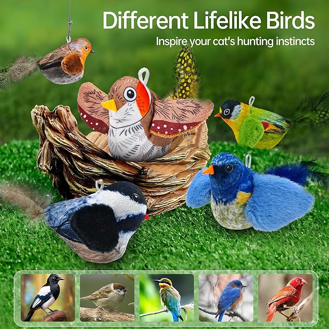 Chirping Bird Cat Toys Hanging Cat Feather Toy - Catnip Interactive Cat Toys for Indoor Cats - Automatic Cat Toy for Cat Exercise & Kicker to Self Play (Chroma) - PAWPICO