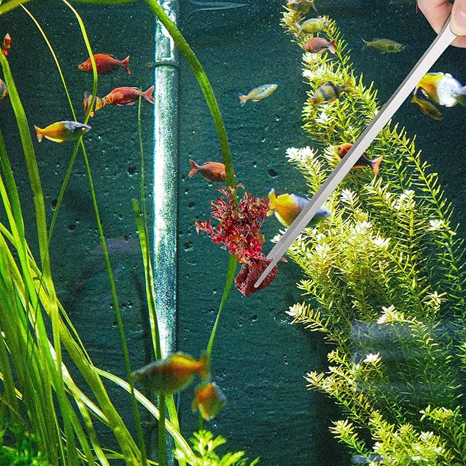 2PCS Long Aquarium Tweezers - 10.6" Straight and Curved Tweezers, Stainless Steel Reptile Feeding tongs, Terrarium Aquascape Tools Feeder for Lizards, Bearded Dragon Snake Tank Accessories Fri4Free