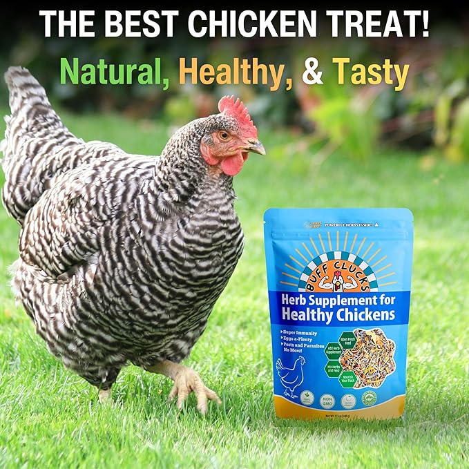 BuffClucks Herb Supplement for Backyard Chickens - Natural Chicken Treats, Poultry Feed Botanical Mix, Plant-Based Coop Snacks for Daily Wellness, Feather Quality, Egg Production - Crafted in USA 12oz PAWPICO