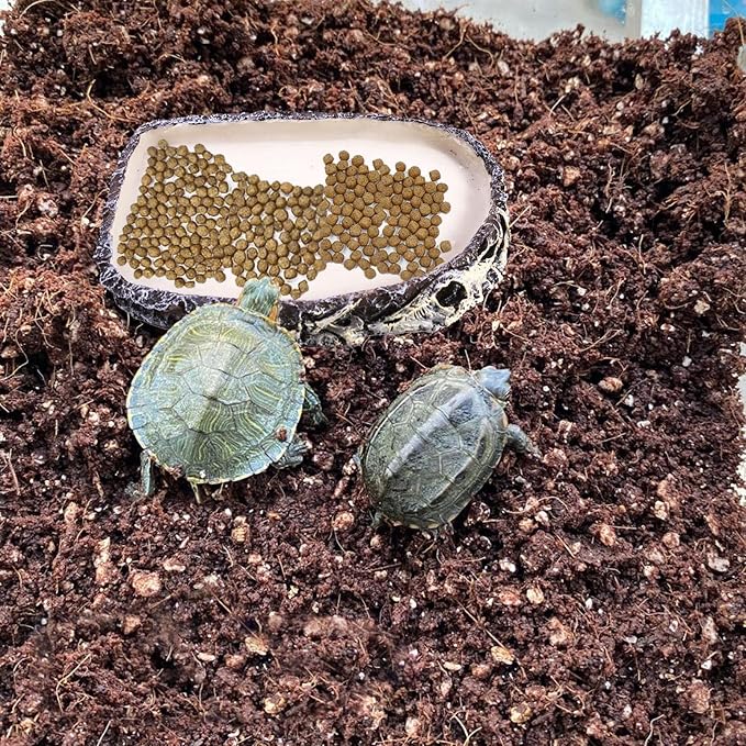 Tfwadmx 2 Pack Reptile Water Bowl Reptile Feeding Dish Reptile Feeder Food and Water Bearded Dragon Food Dish for Lizard Turtle Frog Leopard Gecko Snake Chameleon Tfwadmx