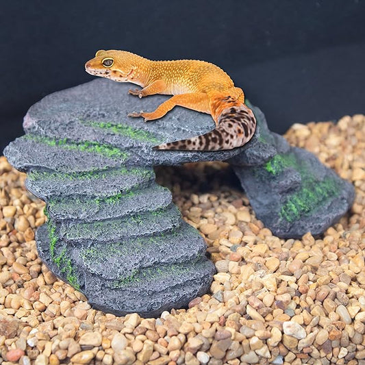 PENN-PLAX Reptology Shale Scape Step Ledge – Decorative Resin for Aquariums & Terrariums – Great for Reptiles, Amphibians, and Fish – Small Penn-Plax
