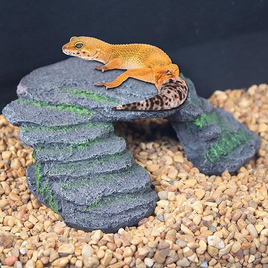 PENN-PLAX Reptology Shale Scape Step Ledge – Decorative Resin for Aquariums & Terrariums – Great for Reptiles, Amphibians, and Fish – Small Penn-Plax