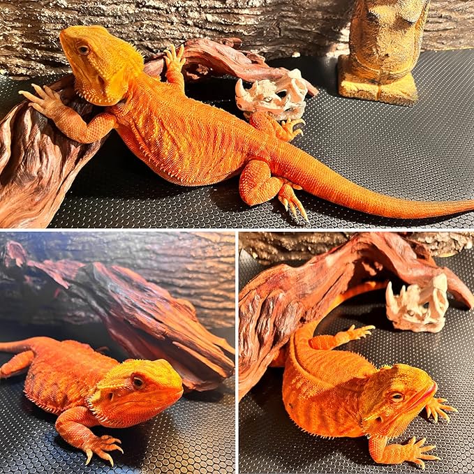 Bearded Dragon Tank Accessories, Reptile Carpet Bedding, Non-Adhesive Reptile Mat Warming Reptile Terrarium Liner Substrate for Leopard Gecko, Snake, Lizard, Tortoise, Iguana Black(18"x72") SISIPAILIFE