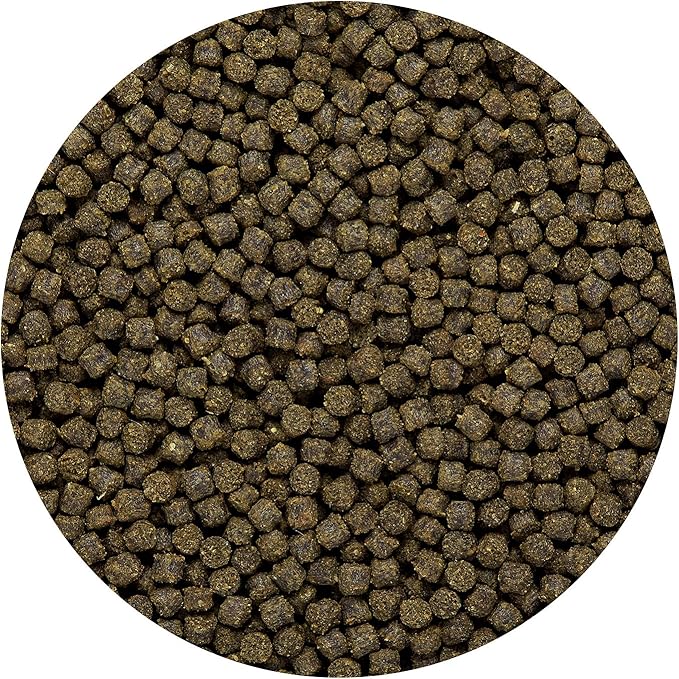 Hikari Sinking Goldfish Excel Fish Food, 3.8 oz. (110g) Hikari