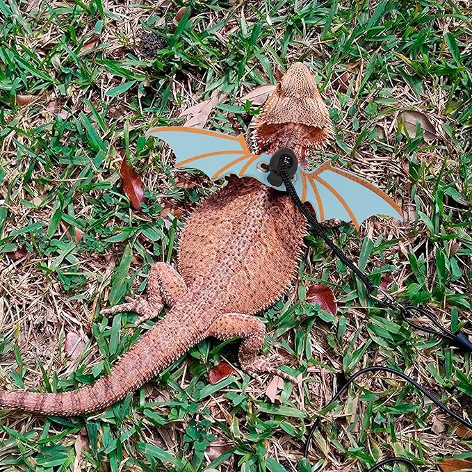 ADOGGYGO Bearded Dragon Harness, Blue, Wing Style, Animal Harness, 3 Size Pack, Soft Leather, Durable Nylon Rope, Removable Leash, Suitable for Baby to Adult Beardies ADOGGYGO