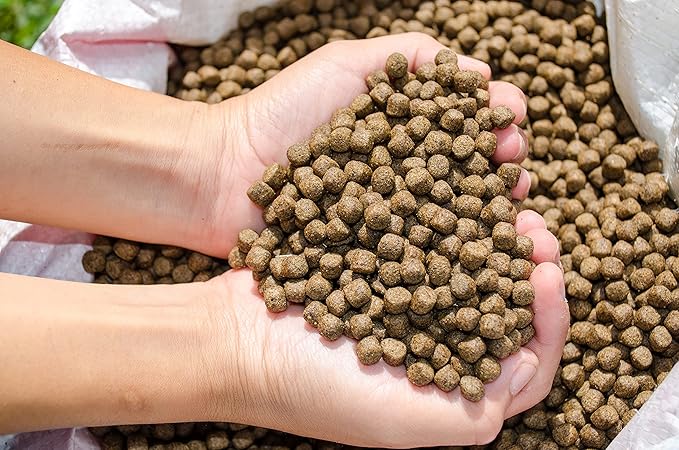 | Premium Floating Fish Food | Pond and Lake | Pellets | 2 Pounds FAMILY+FARM+AND+FEED