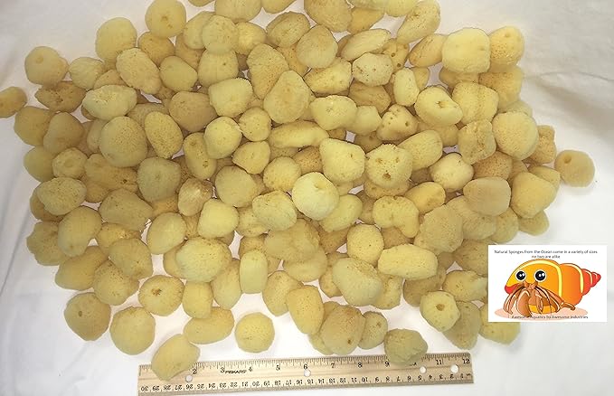 Awesome Aquatic 4-Pack of Hermit Crab Sea Sponges (All Natural Hermit Crab Sponge) Awesome+Aquatic