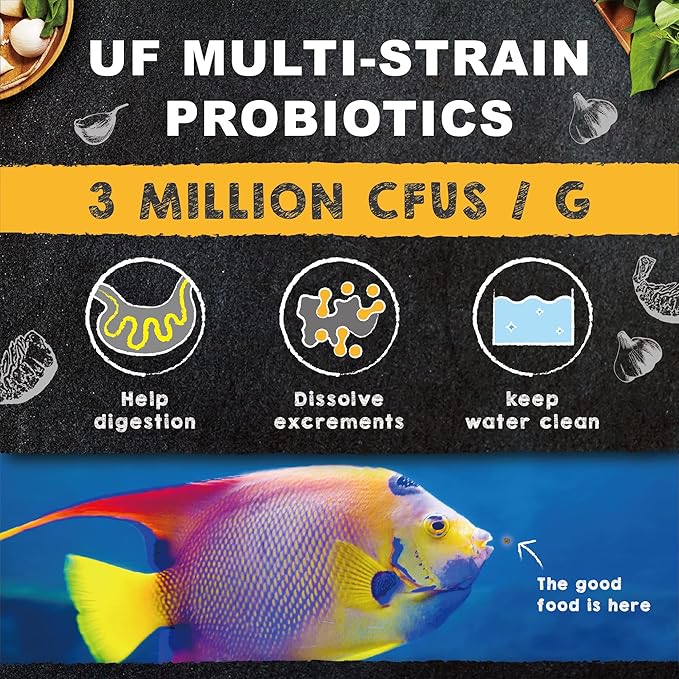 Ultra Fresh Marine Fish Food, 75% Sword Prawns + Squids, Natural Protein, Color Enhancement, for Large Saltwater Fish, Marine Shrimp Patties L 2.12oz UltraFresh-ShrimpDelight