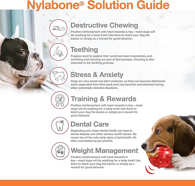 Nylabone Power Chew Flavor Frenzy Bone Chew Toy for Dogs, Indestructible Chew Toys for Aggressive Chewers, Funnel Cake & Shish Kabob Flavor, Large/Giant - Up to 50 lbs. (2 Count) - PAWPICO