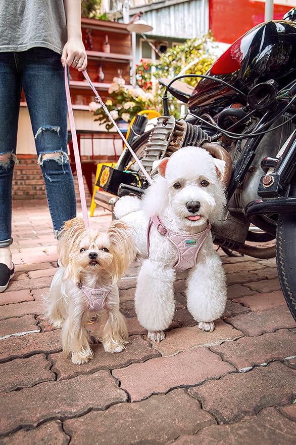 Puppytie No Pull xs Dog Harness with Multifunction Dog Leash,Soft Adjustable No Choke Escape Proof Pet Harness Vest,Glossy Pink,XS Puppytie