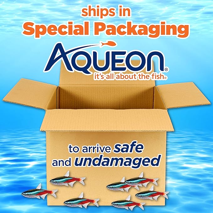 Aqueon Aquarium Fish Tank Starter Kit with LED Lighting 10 Gallon Fish Tank Aqueon