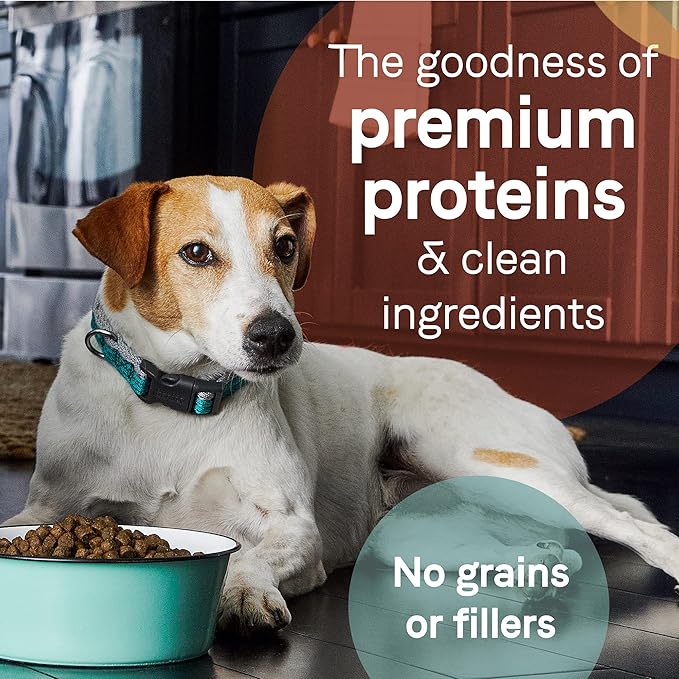 Canidae Pure Real Duck & Sweet Potato Recipe Adult Dry Dog 22 LB - PAWPICO