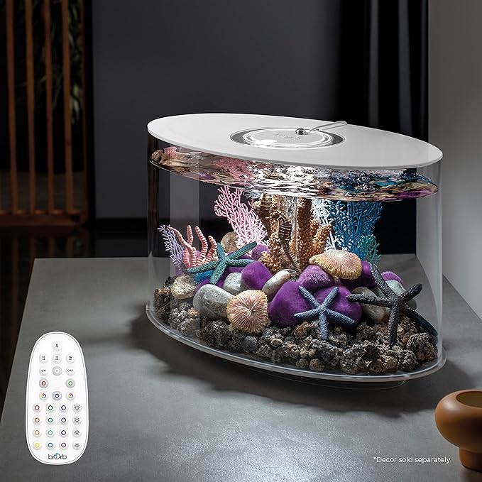 biOrb Loop 15 Acrylic 4-Gallon Aquarium with Multi-Color Remote-Controlled LED Lights Modern Compact Tank for Tabletop or Desktop Display, White-Trimmed Tank biOrb