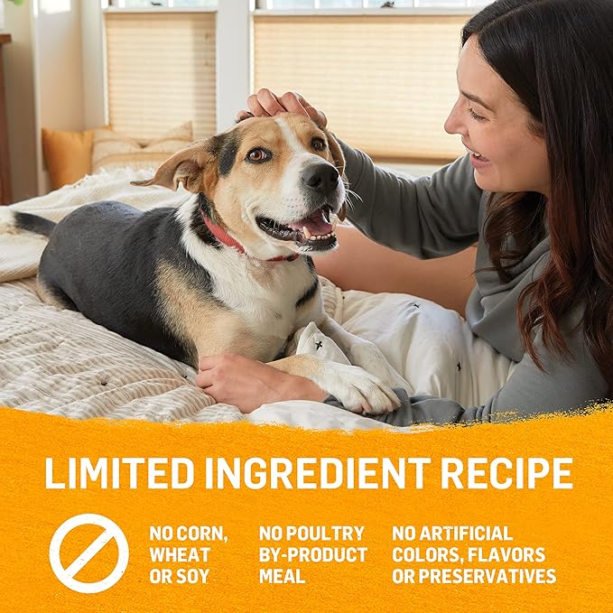 Purina Beyond Grain Free, Natural Pate Wet Dog Food, Grain Free Chicken, Carrot & Pea Recipe - (12) 13 oz. Cans - PAWPICO