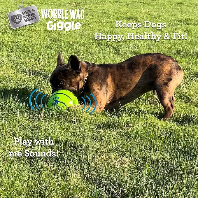 Wobble Wag Giggle Ball, Interactive Dog Toy, Fun Giggle Sounds When Rolled or Shaken, Pets Know Best, As Seen On TV - PAWPICO