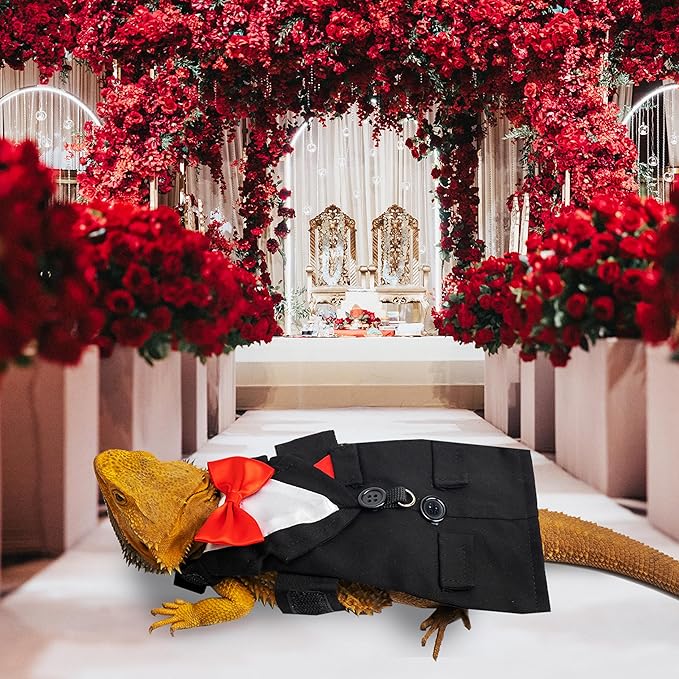 CUSOZWO Bearded Dragon Costume Harness and Leash Set - Cute Tuxedo Wedding Lizard Reptile Costume Outfit with Short Leash Small Animal Clothes for Birthday, Wedding, Holiday, Walking Outdoor CUSOZWO