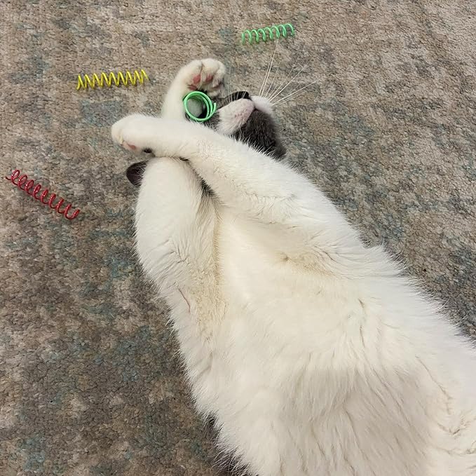 SPOT Thin Colorful Springs Cat Toy - Bouncy Toys for Medium Indoor Cat Breeds to Bite, Swat, Chase - Keeps Cats & Kittens Entertained for Hours - Includes Ten 3” Wide Spiral Springs, Assorted Colors - PAWPICO