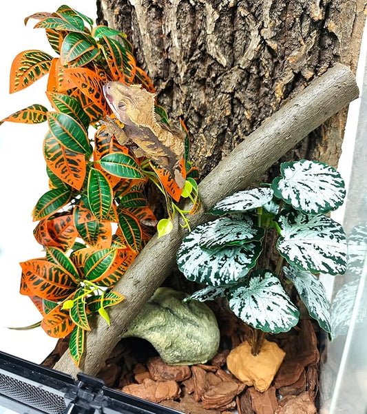 Woyrise 2 Pack Reptile Plants, Terrarium Hanging Plant Vines, Artificial Leaves with Suction Cup, Bearded Dragon Tank Accessories for Gecko Lizard Snake Frog Tortoise Decorations - Codiaeum Variegatum Woyrise