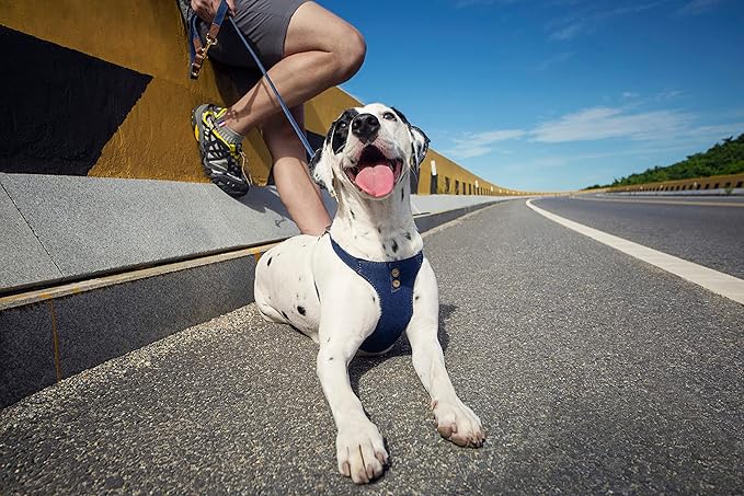 No Pull Dog Harness with Multifunction Dog Leash,Soft Adjustable No Choke Escape Proof Pet Harness Vest for Medium Dogs or Large Dogs,Denim Blue,L Puppytie
