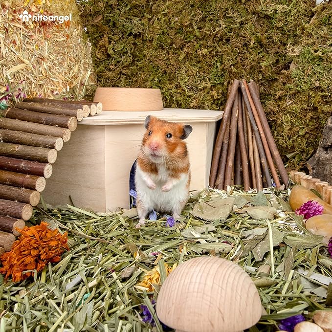 Niteangel Birch Chamber-Maze Hamster Hideout - Small Pets Woodland House Habitats Decor for Hamster Mice Gerbils Mouse Niteangel