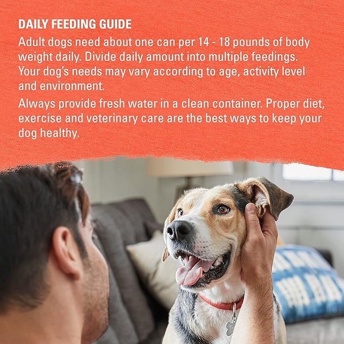 Purina Beyond Organic Wet Dog Food, Organic Chicken & Sweet Potato Adult Recipe Ground Entrée With Broth - (Pack of 12) 13 oz. Cans - PAWPICO