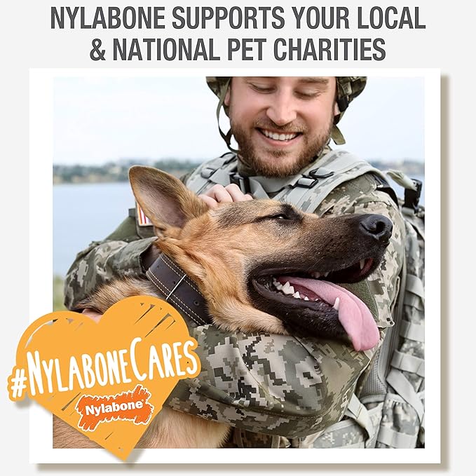 Nylabone Healthy Edibles Wild Natural Long-Lasting Bison Flavor Bone Chew Treats for Dogs, Small (16 Count) (Pack of 2) - PAWPICO