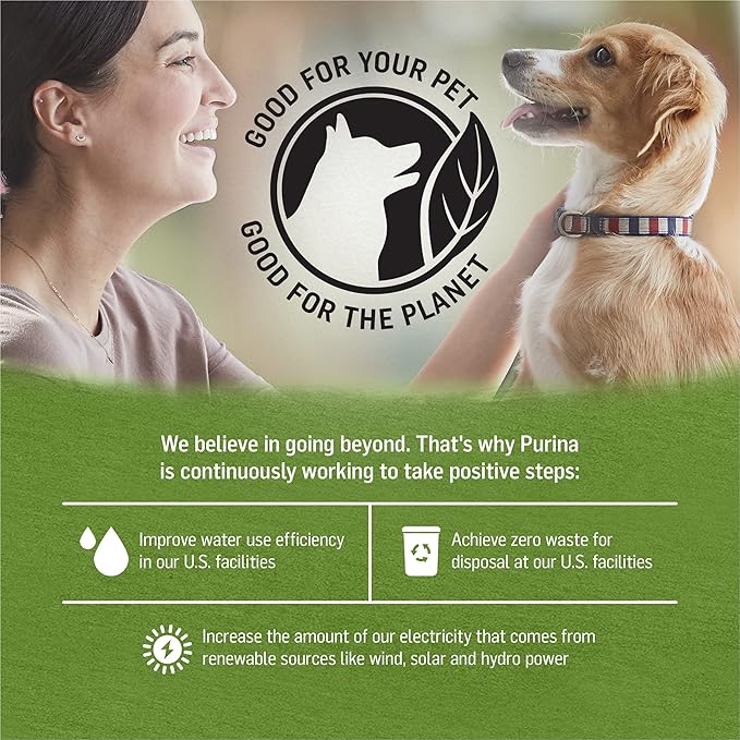 Purina Beyond Grain Free, Natural Pate Wet Dog Food, Grain Free Chicken, Lamb & Spinach Recipe - (12) 13 oz. Cans - PAWPICO