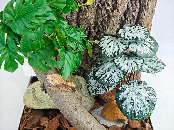 Woyrise Reptile Artificial Plants for Terrarium Decor, Amphibian Habitat Decorations Bearded Dragon Tank Accessories fit Crested Gecko Leopard Lizard Chameleon Snake Frog - Fake Spots Heuchera Woyrise