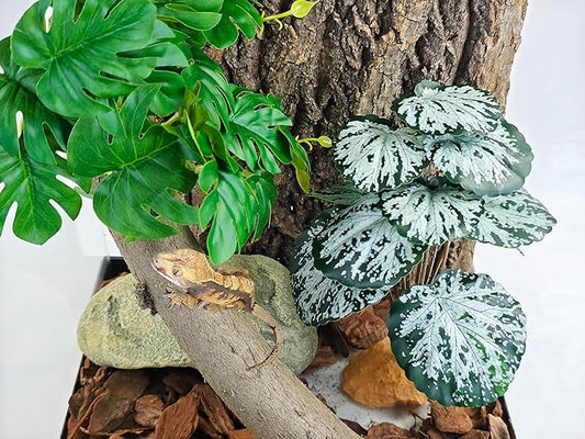 Woyrise Reptile Artificial Plants for Terrarium Decor, Amphibian Habitat Decorations Bearded Dragon Tank Accessories fit Crested Gecko Leopard Lizard Chameleon Snake Frog - Fake Spots Heuchera Woyrise