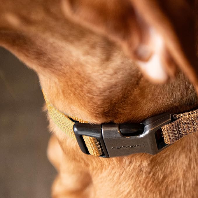 Carhartt Fully Adjustable Nylon Webbing Collars for Dogs, Reflective Stitching for Visibility, Black (Nylon Webbing), Medium Carhartt