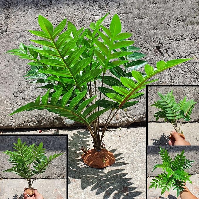 Woyrise Reptile Artificial Plants for Terrarium Decor, Amphibian Habitat Decorations Bearded Dragon Tank Accessories fit Crested Gecko Leopard Lizard Chameleon Ball Python Snake Frog - Fake Osmunda Woyrise